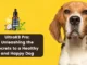 UltraK9 Pro Unleashing the Secrets to a Healthy and Happy Dog