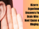Bizarre Experiment Uncovers Faulty Brain Wire as Root Cause of Ear Ringing