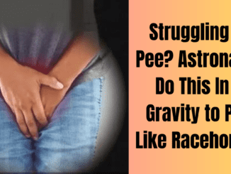 Struggling to Pee Astronauts Do This In 0 Gravity to Pee Like Racehorses
