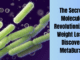 The Secret Molecule Revolutionizing Weight Loss: Discover MetaBurst