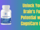 Unlock Your Brain's Full Potential with CogniCare Pro