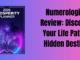 Numerologist Review: Discover Your Life Path & Hidden Destiny